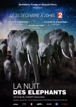LA NUIT DES ÉLÉPHANTS - Documentaires