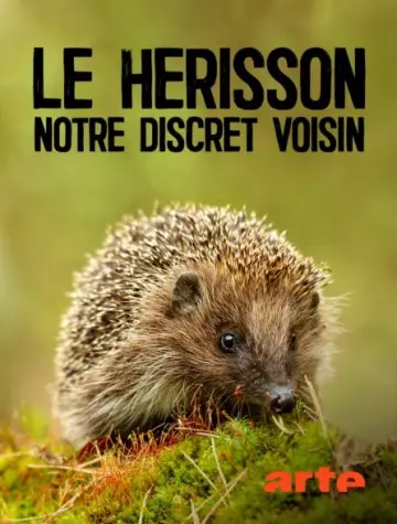 LE HÉRISSON, NOTRE DISCRET VOISIN - Documentaires