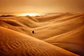 La fabuleuse histoire de l'évolution - Le désert du Namib - - Documentaires