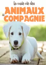 La Vraie Vie Des Animaux De Compagnie - Documentaires