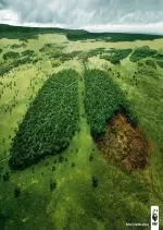 Amazonie, le poumon de la planète - Documentaires
