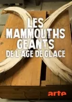 Les mammouths géants de l'âge de glace - Documentaires