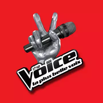 The Voice - S12E01 - Divertissements
