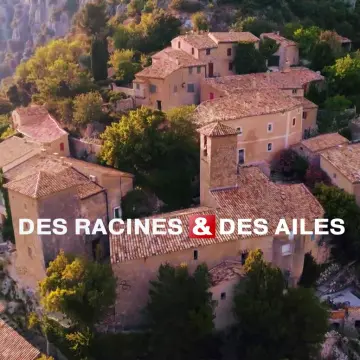 DES RACINES ET DES AILES (PARIS SUR SEINE, 1000 ANS D'HISTOIRE)