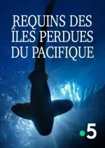 Requins des îles perdues du Pacifique - Documentaires
