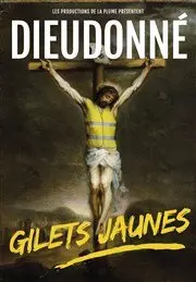 Dieudonné - Gilets Jaunes - Spectacles