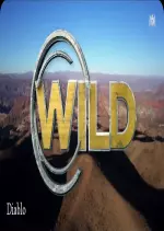 Wild, la course de survie - S01E03 - Divertissements
