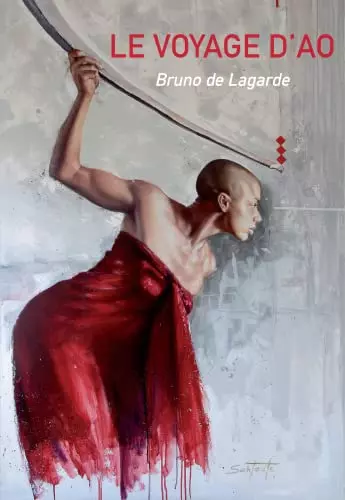 Le voyage d'Ao - Bruno de Lagarde - Livres