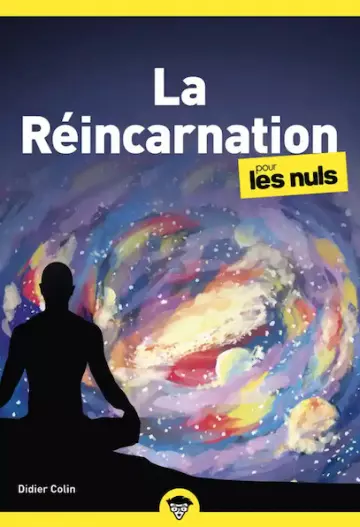 La Réincarnation pour les Nuls - Didier Colinv - Livres