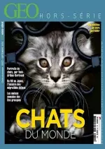 Géo Hors-Série Best-Seller N°1 - Chats Du Monde - Magazines