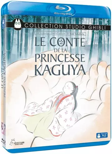 Le Conte de la princesse Kaguya - MULTI (FRENCH) BLU-RAY 1080p