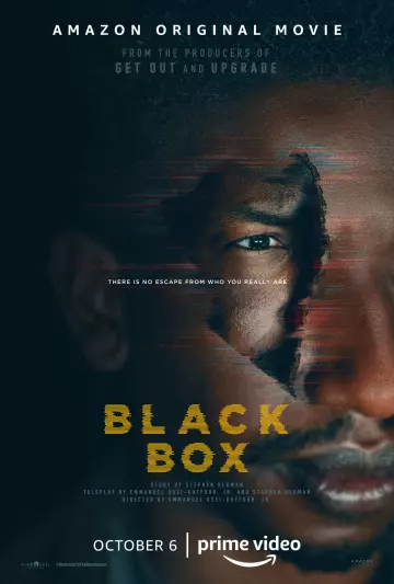 Black Box - MULTI (FRENCH) WEB-DL 1080p