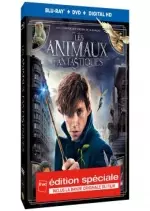 Les Animaux fantastiques - MULTI (TRUEFRENCH) Blu-Ray 720p