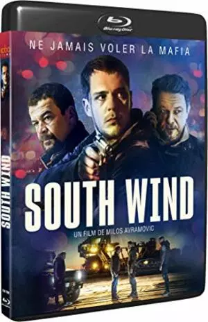 South Wind - MULTI (FRENCH) HDLIGHT 1080p