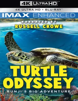 Turtle Odyssey - MULTI (FRENCH) BLURAY REMUX 4K