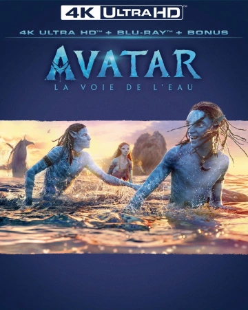 Avatar : la voie de l'eau - VOSTFR WEB-DL 4K