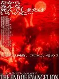 The End of Evangelion - VOSTFR DVDRIP