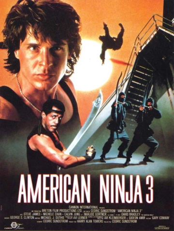 American Ninja 3 - MULTI (TRUEFRENCH) HDLIGHT 1080p