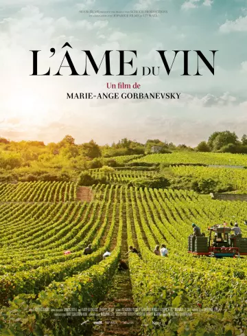 L'Âme du vin - FRENCH WEB-DL 1080p