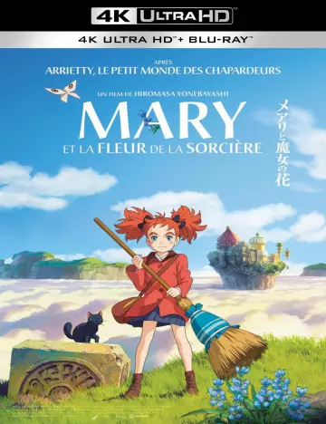 Mary et la fleur de la sorcière - MULTI (FRENCH) BLURAY REMUX 4K
