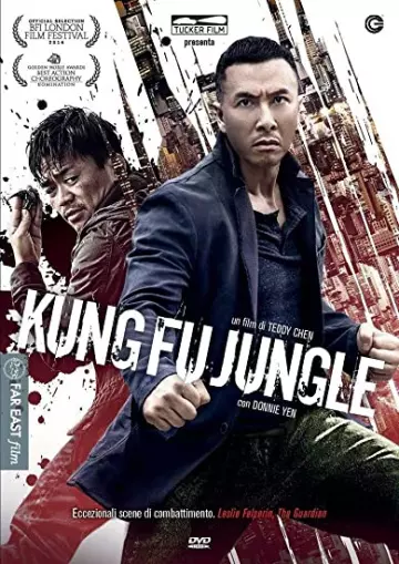 Kung Fu Jungle - MULTI (FRENCH) HDLIGHT 1080p