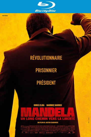Mandela : Un long chemin vers la liberté - MULTI (FRENCH) HDLIGHT 1080p