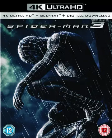 Spider-Man 3 - MULTI (TRUEFRENCH) 4K LIGHT