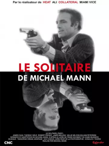 Le Solitaire - FRENCH BDRIP