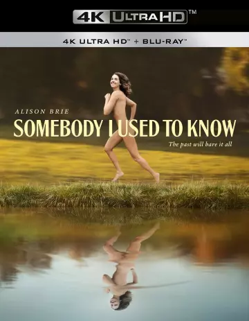 Somebody I Used to Know - MULTI (FRENCH) WEBRIP 4K