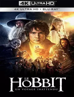 Le Hobbit : un voyage inattendu - MULTI (FRENCH) 4K LIGHT