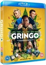 Gringo - FRENCH HDLIGHT 720p