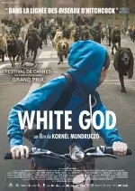 White God - FRENCH BDRiP
