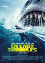 En eaux troubles - MULTI (FRENCH) WEB-DL 1080p