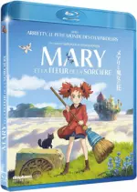 Mary et la fleur de la sorcière - FRENCH HDLIGHT 720p