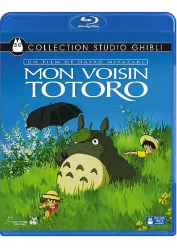 Mon voisin Totoro - MULTI (FRENCH) BLU-RAY 1080p