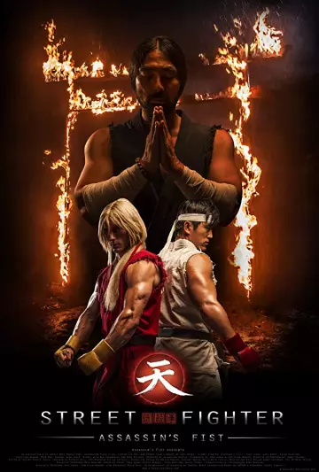 Street Fighter: Assassin's Fist - MULTI (FRENCH) WEB-DL 1080p