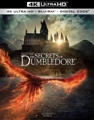 Les Animaux Fantastiques : les Secrets de Dumbledore - MULTI (TRUEFRENCH) BLURAY 4K