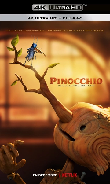 Pinocchio par Guillermo del Toro - MULTI (FRENCH) 4K LIGHT