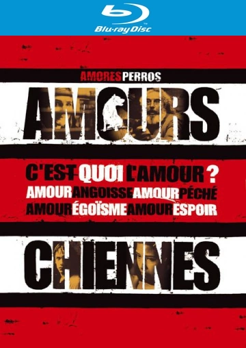 Amours chiennes - MULTI (FRENCH) HDLIGHT 1080p
