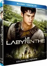 Le Labyrinthe - MULTI (TRUEFRENCH) Blu-Ray 720p