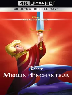 Merlin l'enchanteur - MULTI (TRUEFRENCH) WEB-DL 4K