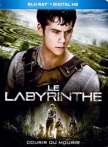 Le Labyrinthe - TRUEFRENCH HDLIGHT 1080p