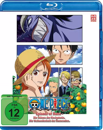 One Piece : Episode de Nami (TV) - MULTI (FRENCH) BLU-RAY 1080p