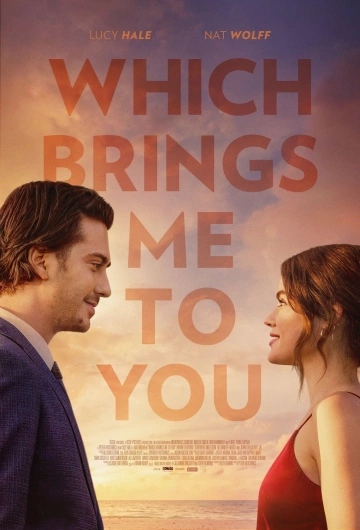 Which Brings Me to You - MULTI (TRUEFRENCH) WEB-DL 1080p