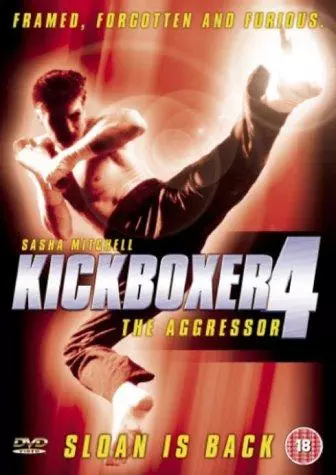 Kickboxer 4 - FRENCH TVRIP