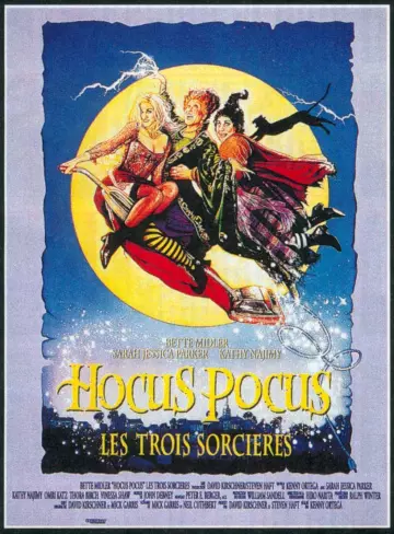 Hocus Pocus : Les trois sorcières - TRUEFRENCH DVDRIP