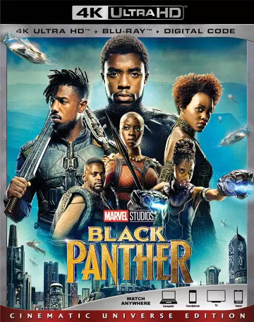 Black Panther - MULTI (TRUEFRENCH) HDRIP 4K