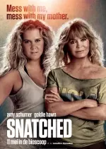 Snatched - FRENCH DVDRIP