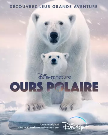 Ours Polaire - MULTI (FRENCH) WEB-DL 1080p