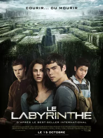 Le Labyrinthe - MULTI (TRUEFRENCH) HDLIGHT 1080p
